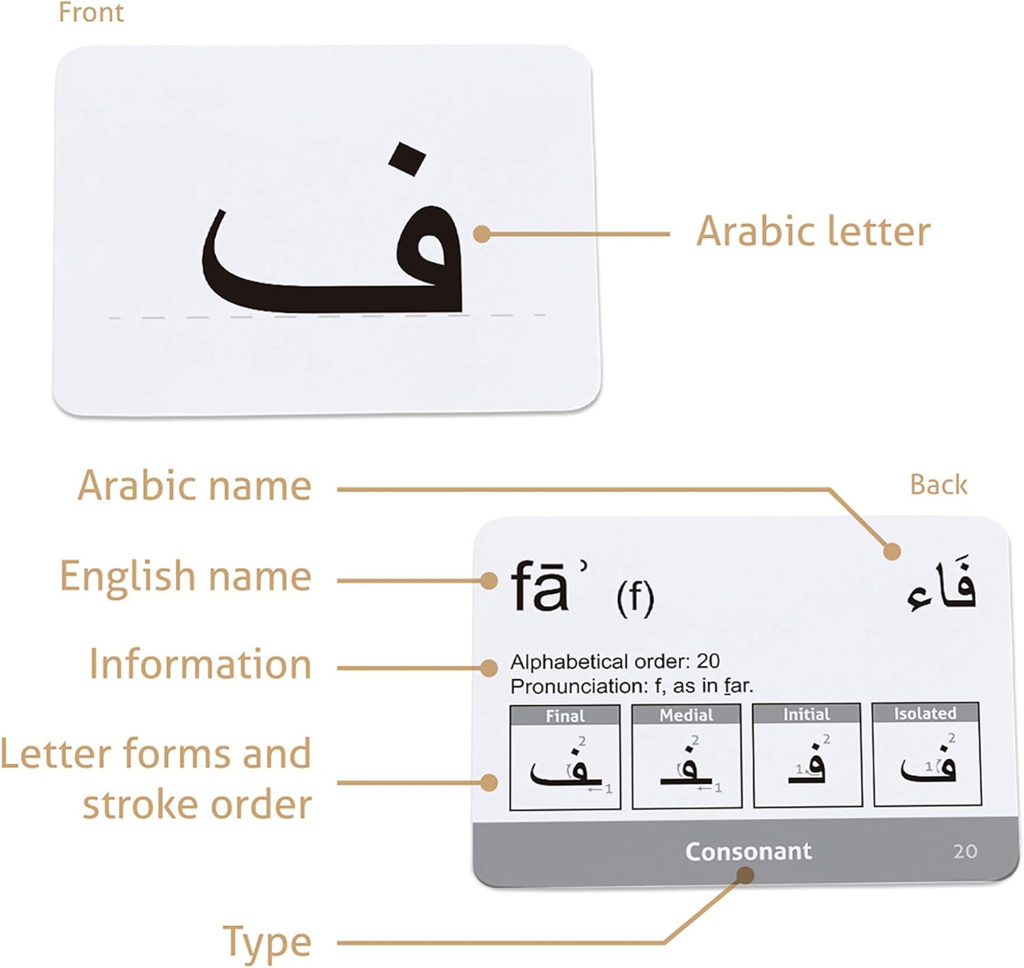 CARDDIA | Arabic Alphabet Educational Flashcards | Includes Consonants, Vowels, Diacritics and Numerals | Ideal for Arabic Language Beginners