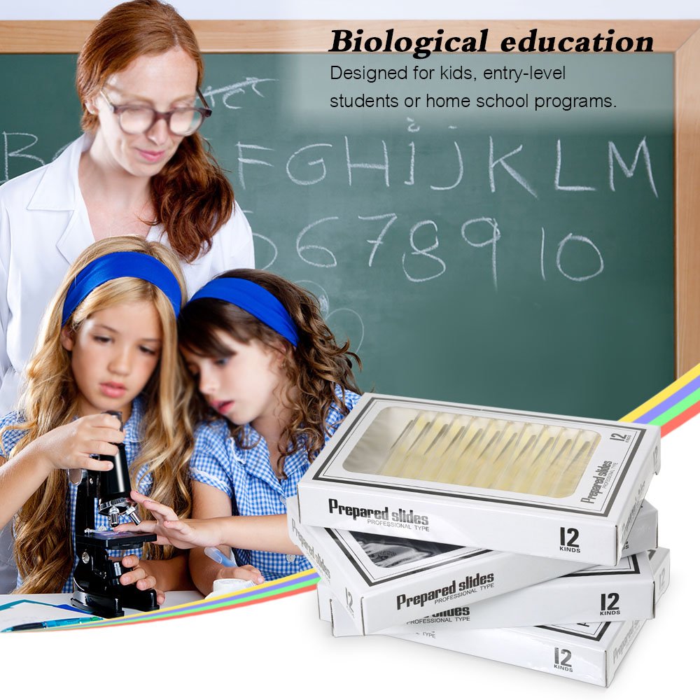 Prepared Microscope Slides for Kids, 48pcs Plastic Animals Insects Plants Flowers Sample Specimens for Students Children Homeschooling Biology Science Programs