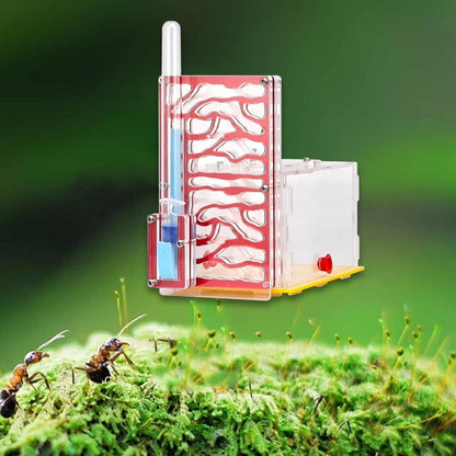 ANT Housing Nest Habitat Transparent Acrylic with Feeder ANT Farm Display Box for Gift Lovers Birthday Decor Children's Day- Yellow