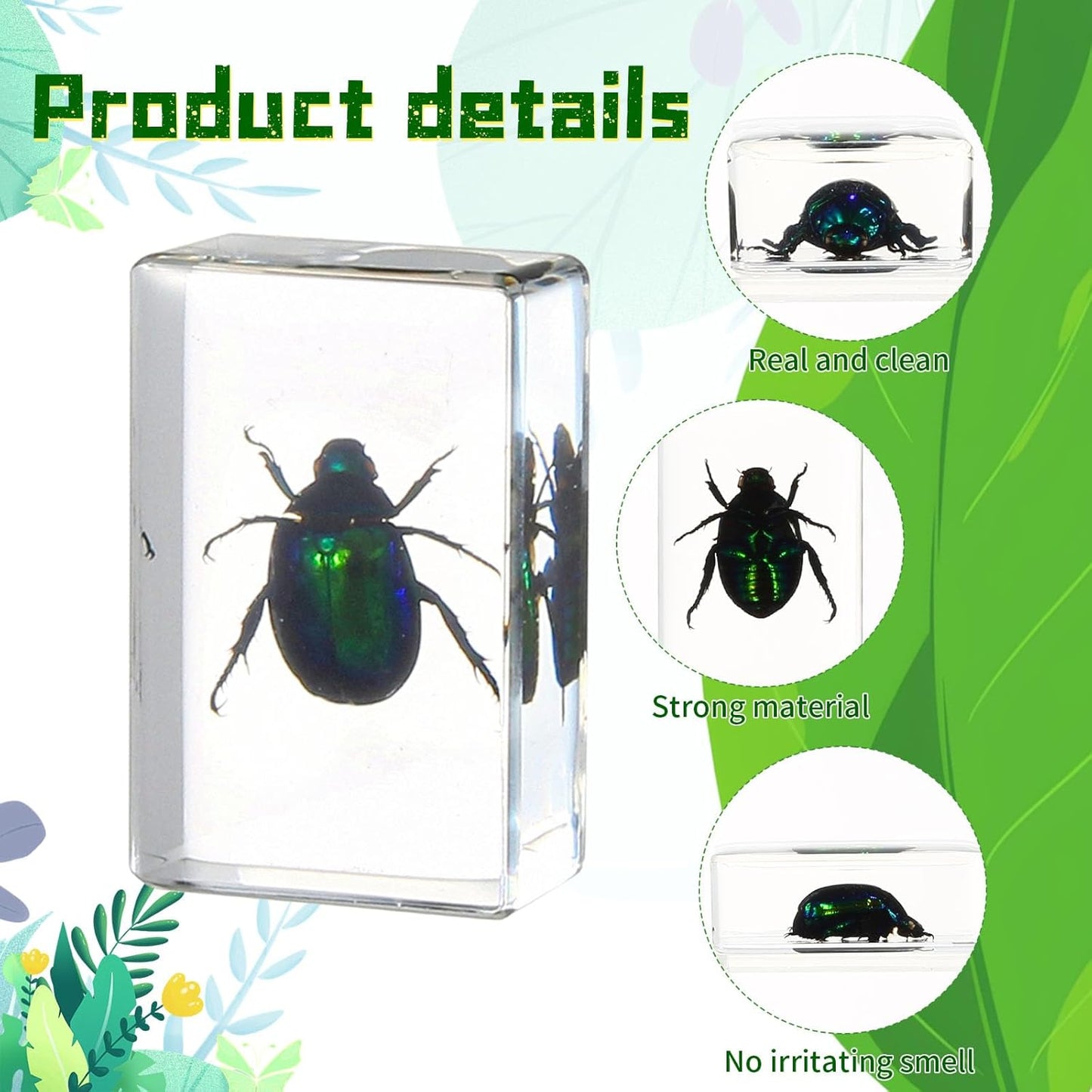16 Pcs Ladybug Insect in Resin Specimen Butterfly Bugs Collection Paperweights，16 Styles Real Bug Specimen Bug Kit Preserved in Resin for Scientific Educational Display Supplies (Ladybug)