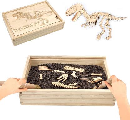 Dinosaur Excavation Archaeology Dig Kit for Kids, Fossil Explore Sensory Bin Toys, Dino Skeletons Bones Puzzle Game, Archaeology Science STEM Toys for Boys and Girls (Stegosaurus)