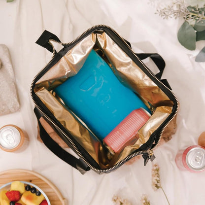 Igloo Maxcold Ice Block