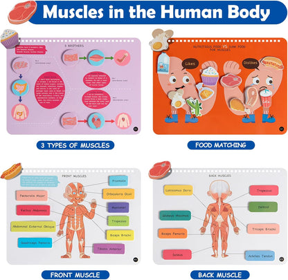 Freebear Montessori Busy Book for Kids, Human Body Anatomy Book for Toddlers, Preshool Kindergarten Learning Activities, Autism Sensory Toys, Travel Toys, Gifts for Girls and Boys 4 5 6 7 8 Years