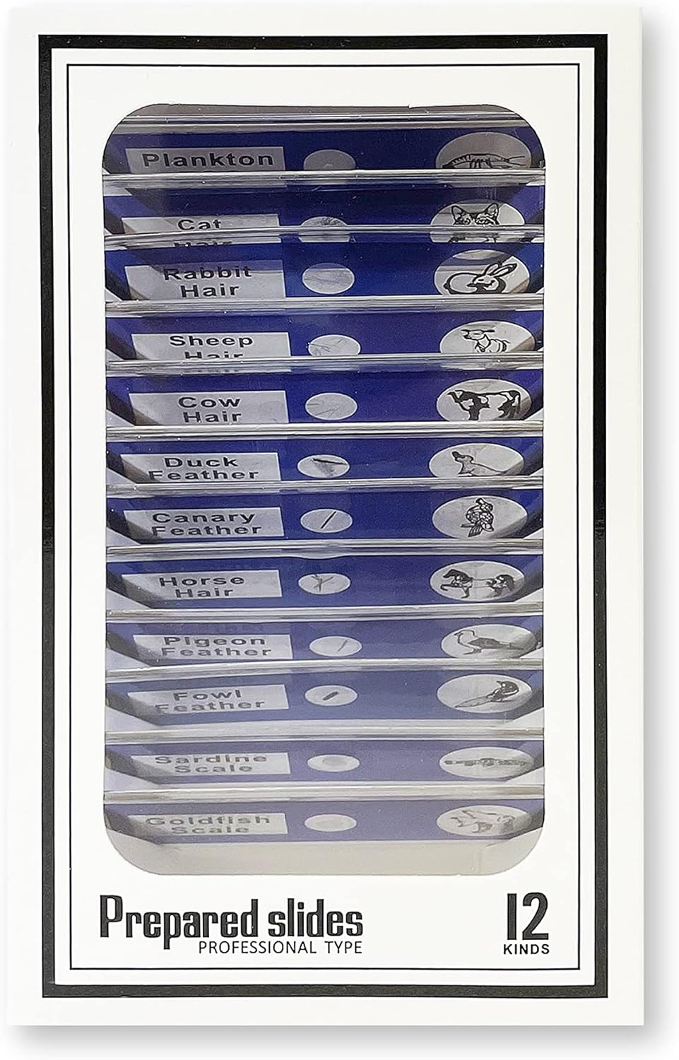 Carson MicroFlip 100x-250x, LED UV Pocket Microscope with Smartphone Clip, STEM Education (MP-250)