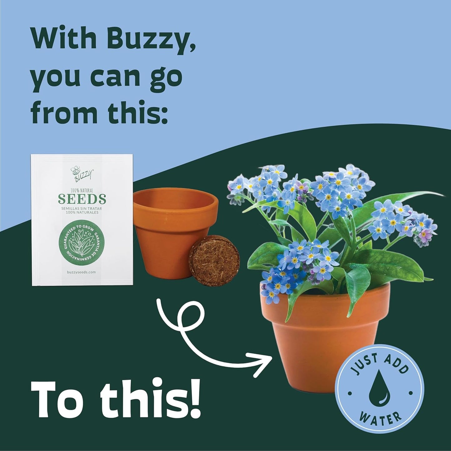 BUZZY Seeds Terracotta Mini Grow Pots – Herb Flower Plant Starter Kit Assorted 20-Pack with Lavender Seeds, Indoor Grow Your Own Gardening Gift for DIY Projects and Party Favors