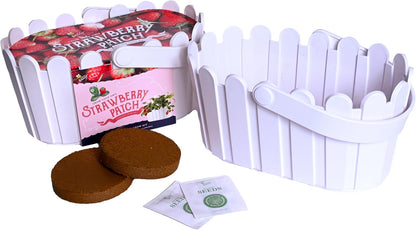 Buzzy Seeds Strawberry Grow Kit Pink Picket Fence Berry Basket with Grandian Seeds, Indoor Planting Starter Kit, DIY Garden Project, Gardening Gift for Women