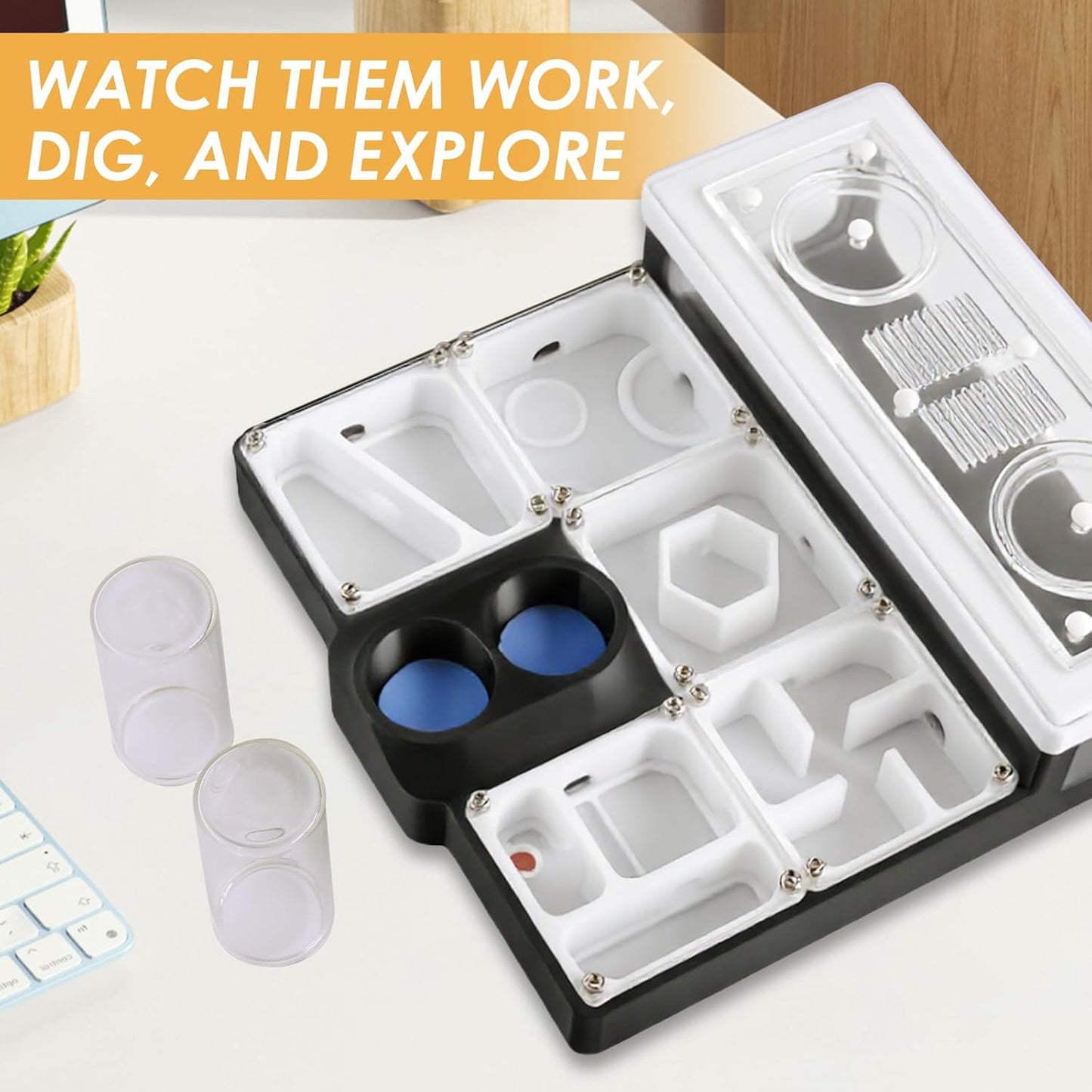 Ant Farm Nest - Educational Habitat - Black and White Acrylic Design with Built-in Water Tower and Clear Observation Area (S)