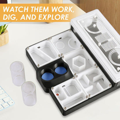 Ant Farm Nest - Educational Habitat - Black and White Acrylic Design with Built-in Water Tower and Clear Observation Area (S)