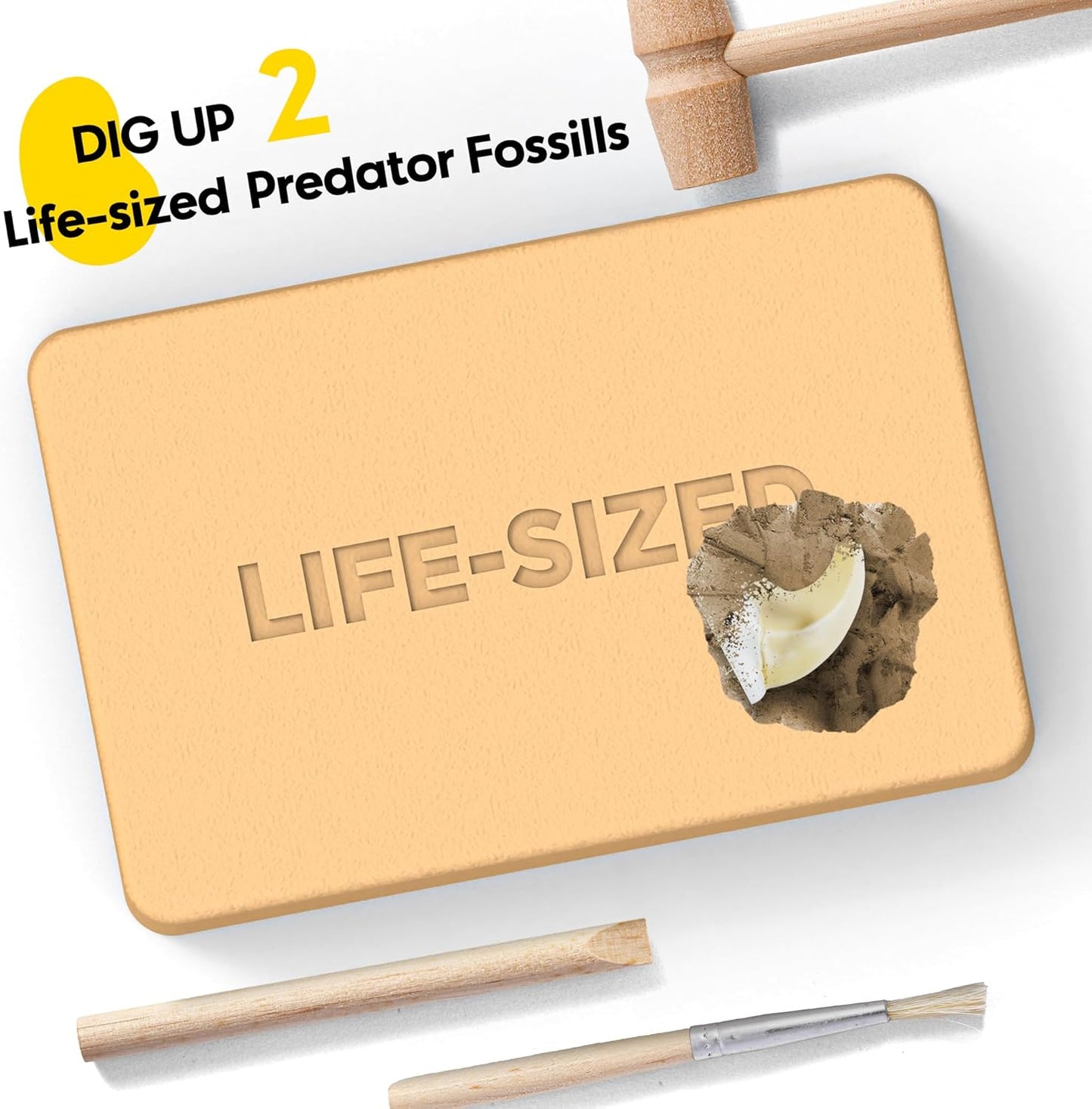Dinosaur Dig Kit - Excavate 2 Life-Sized Fossils (T.Rex Claw & Ankylosaurus Spine) - STEM Authenticated Science Toy with Tools & Display Frame - Gifts for Boys & Girls Ages 6-12