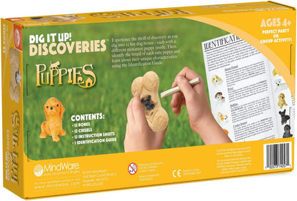MindWare Dig it Up! Puppies Excavation Kit - Educational Toys for Kids 4 and Up - Dig Kit with 12 Bones, 12 Puppy Figurines, 12 Chisels - Ideal for Group Activities, Events or Classroom Brain Breaks