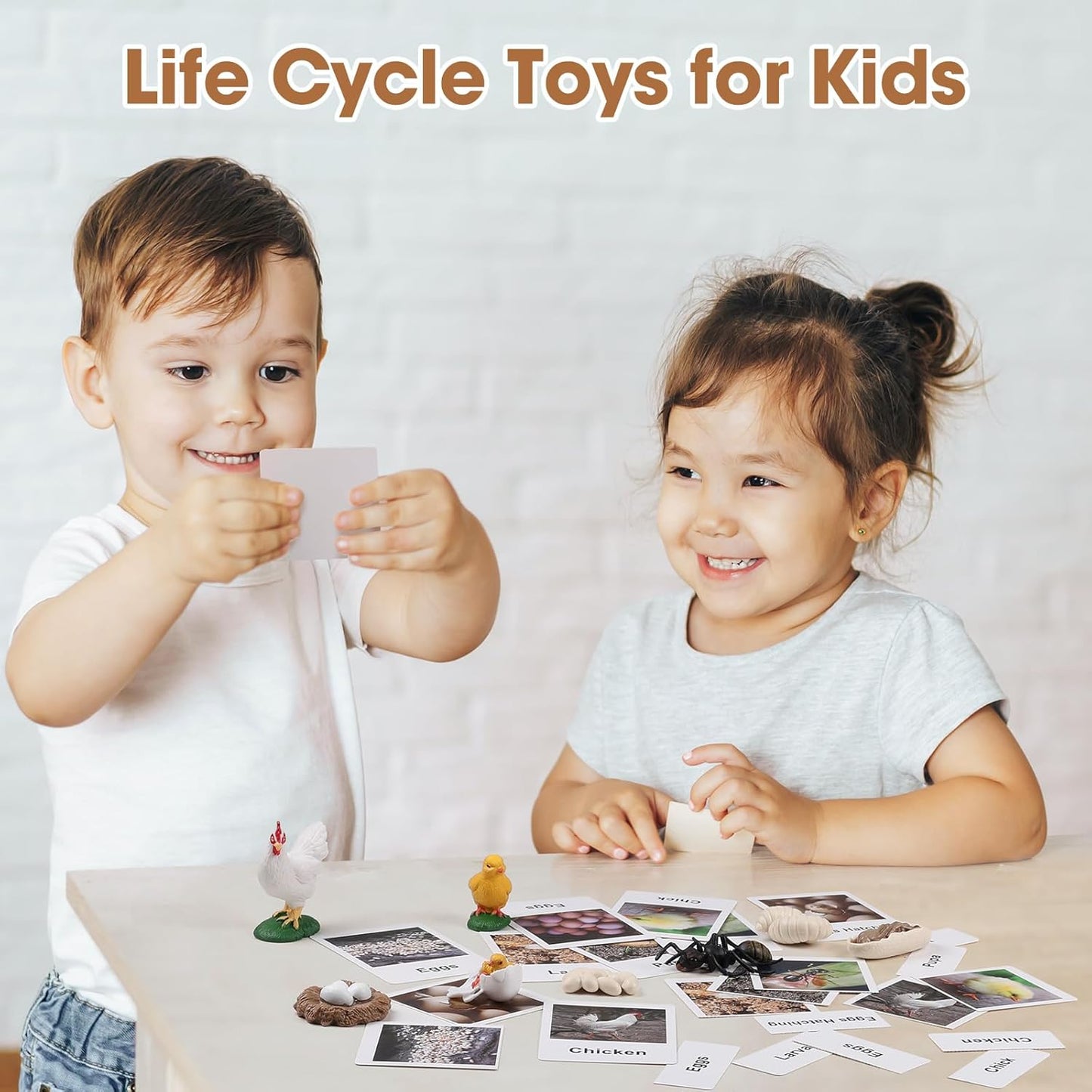 MEROCO Chicken Life Cycle Toys for Kids Insect Ant Bug Toys for Kid 3-5 Animal Flashcards with Figurines Preschool Science Toy for 3-5 Matching Game Science Animals Learning & Education
