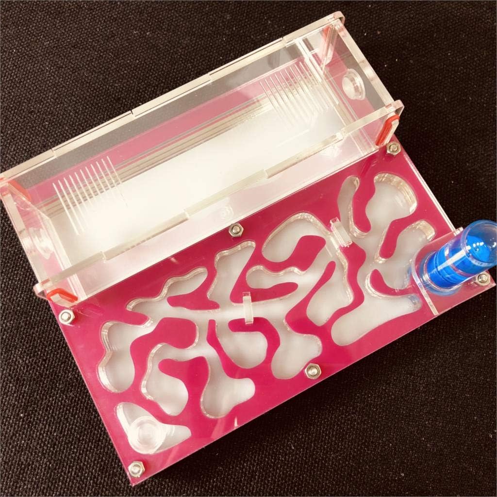 ANT 150mmx110mm Test Tube Moisture Big Space Nest Farm Acrylic, Insect Villa House Ecological Workshop (Pink)
