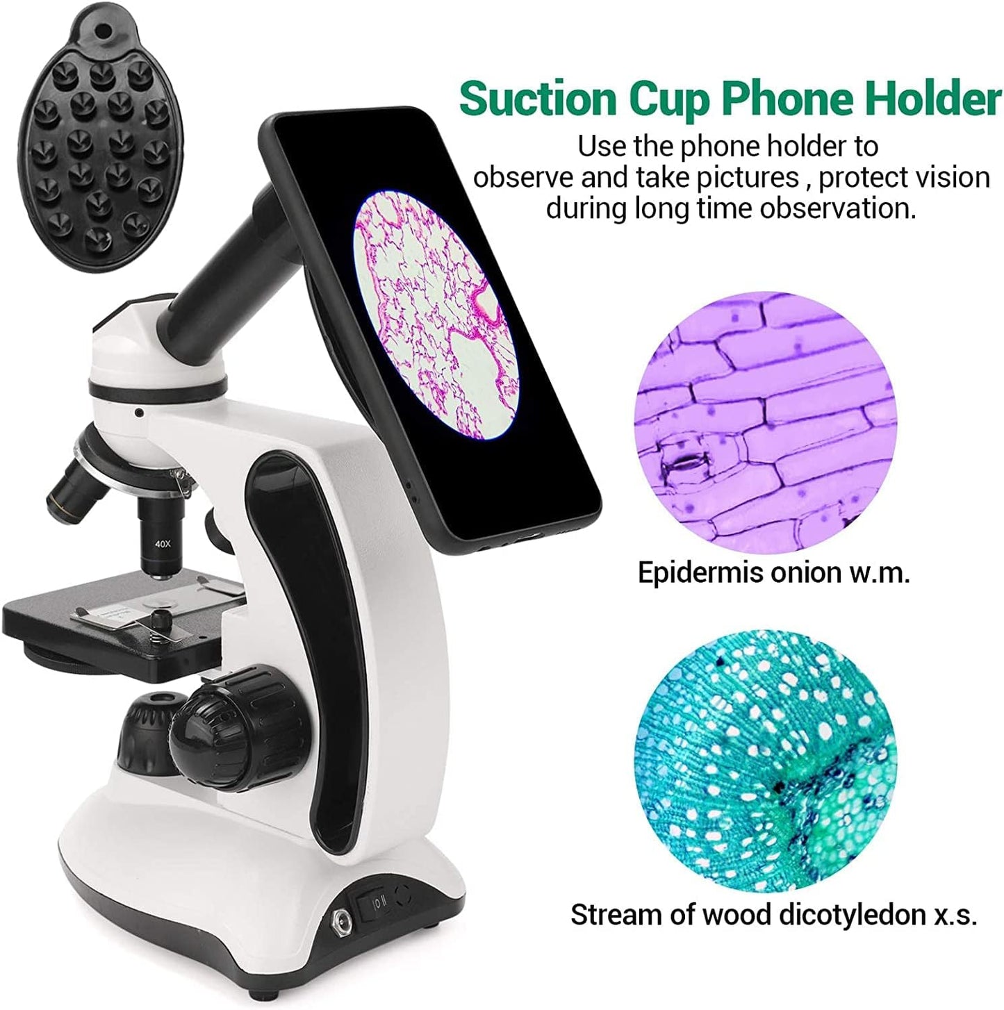 Microscope Kit for Kids Adults Students, 40X-2000X Compound Microscope with Prepared Slides, Dual LED Illumination, All-Glass Optics, Phone Adapter & Carrying Case for Beginners
