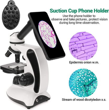 Microscope Kit for Kids Adults Students, 40X-2000X Compound Microscope with Prepared Slides, Dual LED Illumination, All-Glass Optics, Phone Adapter & Carrying Case for Beginners