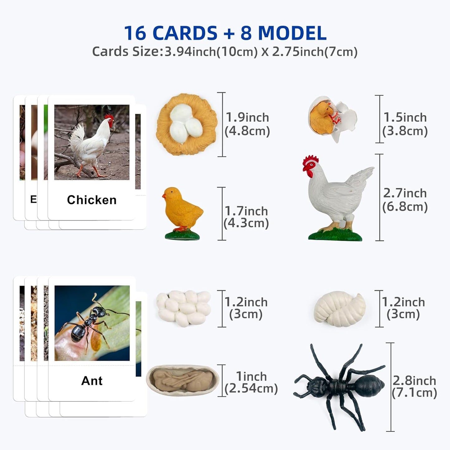 MEROCO Chicken Life Cycle Toys for Kids Insect Ant Bug Toys for Kid 3-5 Animal Flashcards with Figurines Preschool Science Toy for 3-5 Matching Game Science Animals Learning & Education