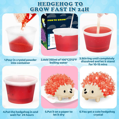 sdaymol Crystal Growing Kit for Kids - 2 Colors Hedgehog to Grow Fast in (24H),Science Experiments Learning & Educational Toys,Science Kits for Kids Age 8-12 STEM Project Gifts for Boys & Girls 6+