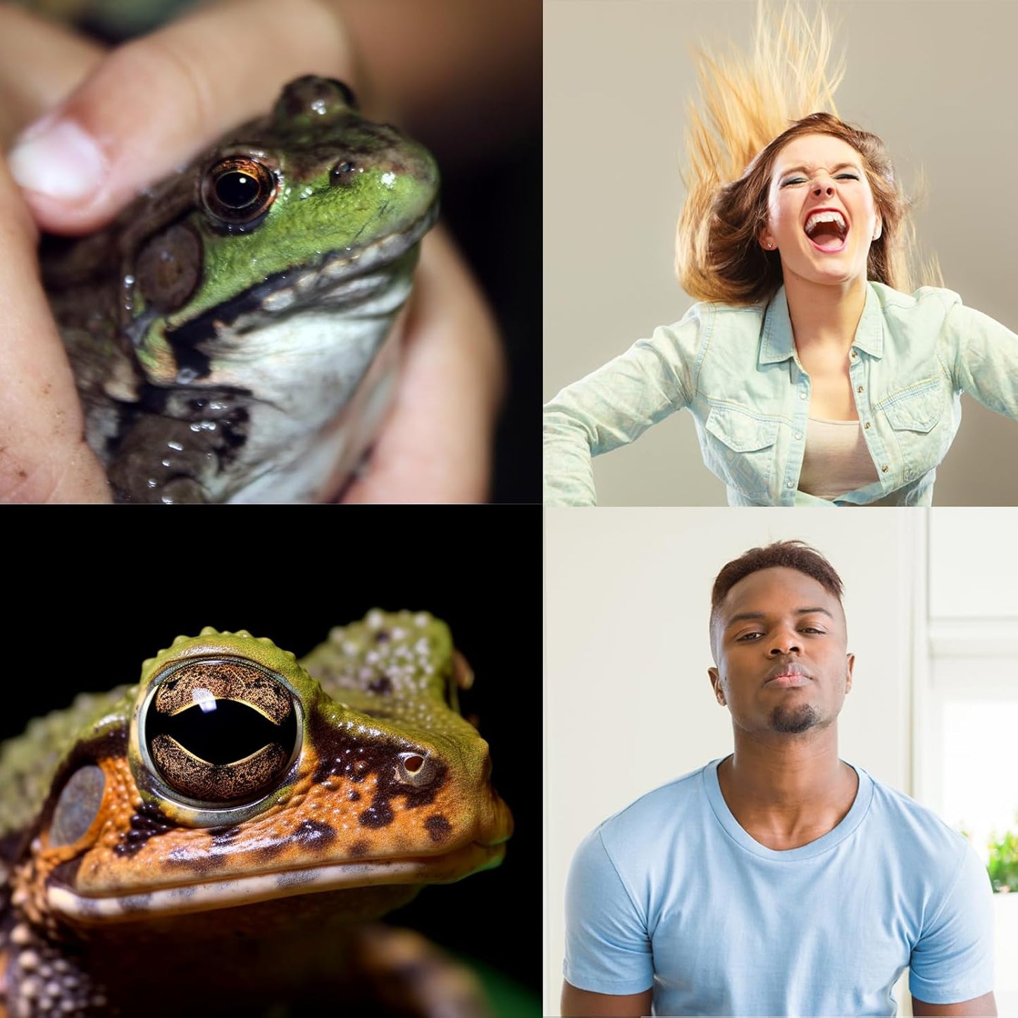 Critter Keeper Ant Farm Cane Toad Trap Little Live Pets Bug Catcher Kit for Kids Frog Habitat Turtle Tank Reptile Terrariums Lizard Cage Fish Bowl Beach Aquarium Catch and Release