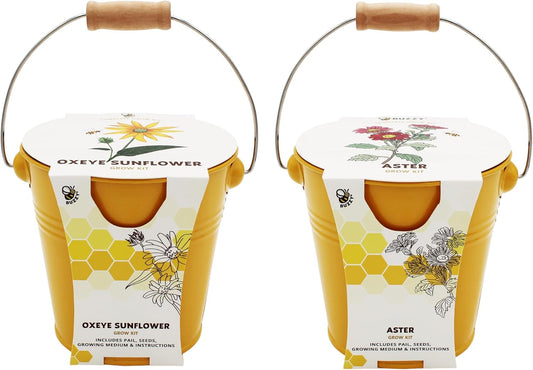 BUZZY Seeds Pollinator 2-Pack Grow Kit with Aster and Ox-Eye Sunflower Seeds, Growing Medium, and Decorative Yellow Pails, All-in-One Gardening Gift to Sprout Bee and Butterfly Friendly Blooms