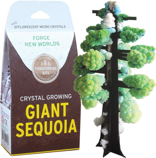 Crystal Growing Giant Sequoia | Copernicus Toys Official Terraformer kit | Grows in Hours | Facts and Instructions