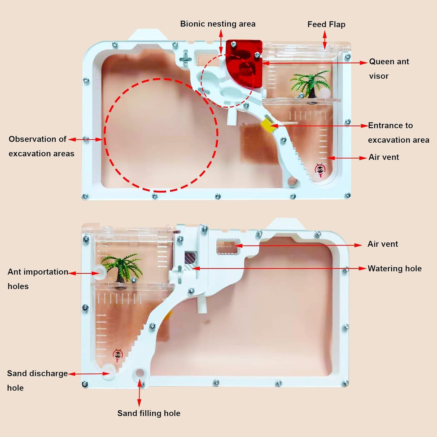 EXBEPE Sand Ant Farm Castle Ant Colony Ecosystem Science Educational Gift Live Ant Habitat to Study Insect Behavior