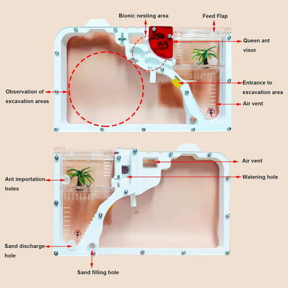 EXBEPE Sand Ant Farm Castle Ant Colony Ecosystem Science Educational Gift Live Ant Habitat to Study Insect Behavior