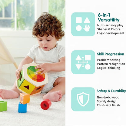 Hape Wooden Wonder Shape Sorter