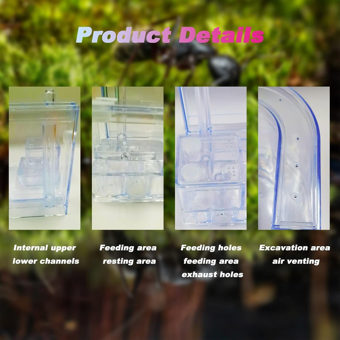 EXBEPE Sand Ant Farm with Connecting Tubes,Live Ant Habitat Colony Ecosystem Terrarium Kit for Kids to Study Insect Behavior
