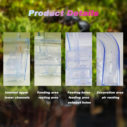 EXBEPE Sand Ant Farm with Connecting Tubes,Live Ant Habitat Colony Ecosystem Terrarium Kit for Kids to Study Insect Behavior