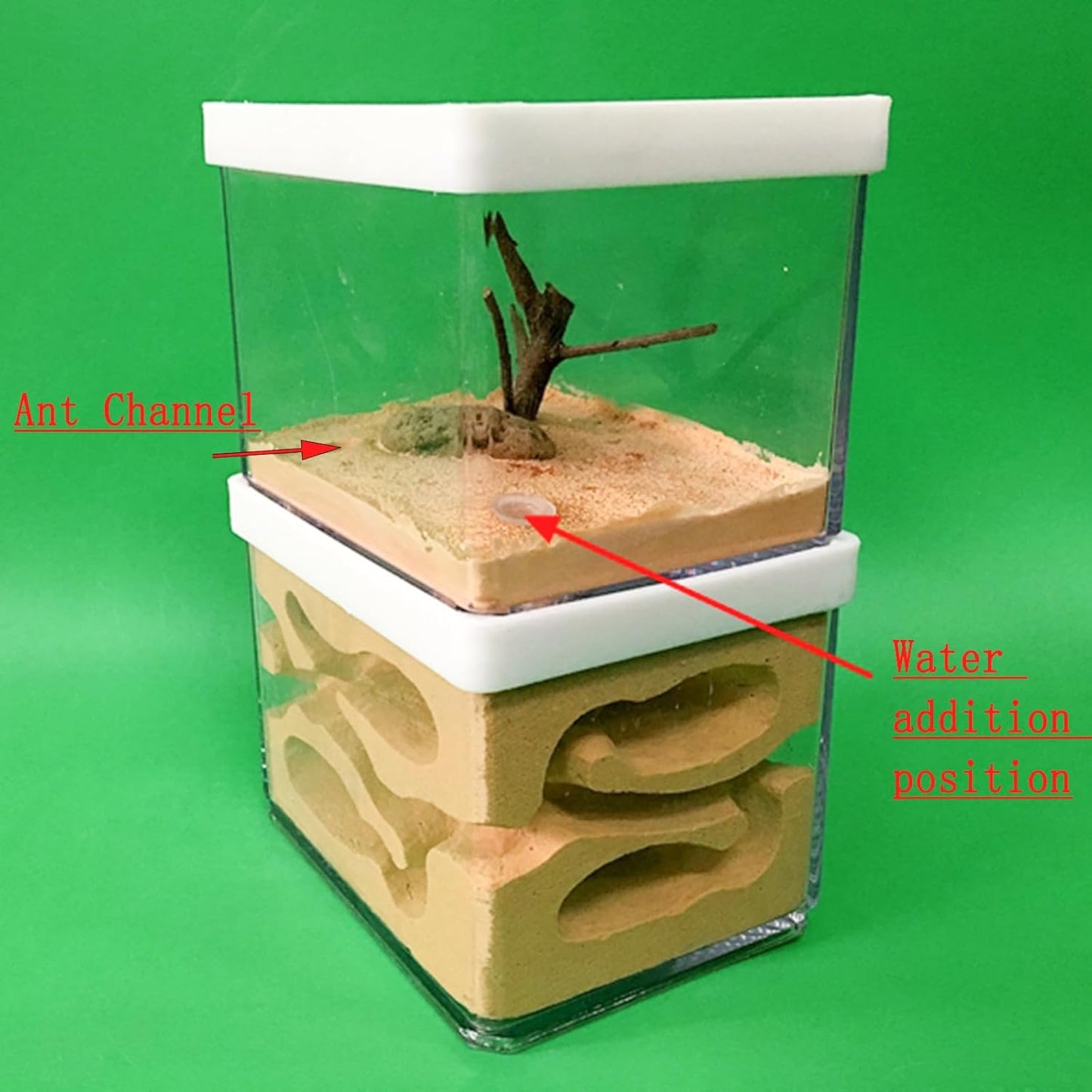 Acrylic Transparent Ant Farm Nest - Ant Observation & Education - Suitable for Children & Enthusiasts - Gift Giving