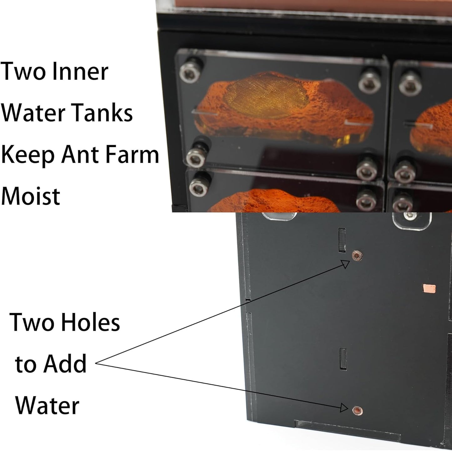 Ant Farm for Live Ants with Inner Lights - Large Viewing Area - Natural Learning Toy - Great Gift