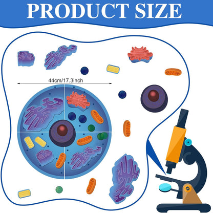 Leitee 18 Pcs Magnetic Plant Cell Model Kits Giant Teaching Resources Early Biology Cell Anatomy Model Life Science Teaching Aid for Whiteboard Learning Tools Educational Classroom Activities