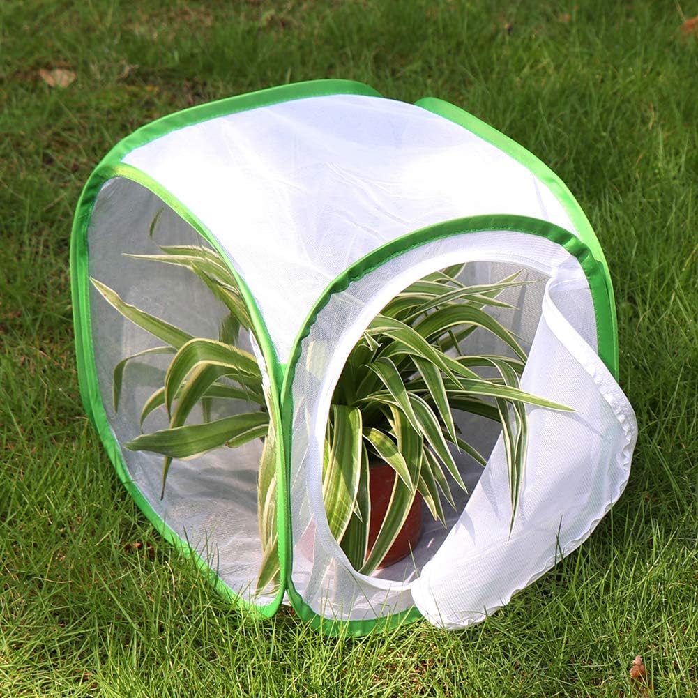 RESTCLOUD Professional Butterfly Habitat Insect Cage Caterpillar Enclosure Pop-up Polyester Bottom for Easier Clean