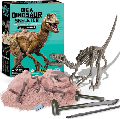 KidzLabs Dig a Pteranodon Skeleton Kit, Fossil Excavation Set, Ages 8+, 1 Piece