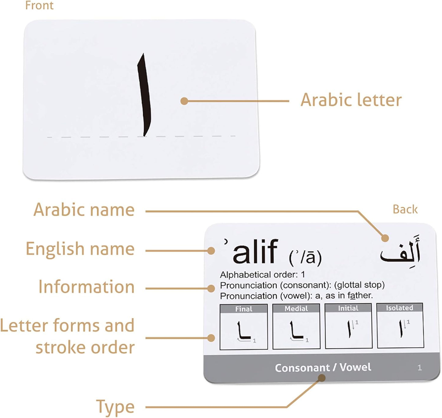 CARDDIA | Arabic Alphabet Educational Flashcards | Includes Consonants, Vowels, Diacritics and Numerals | Ideal for Arabic Language Beginners