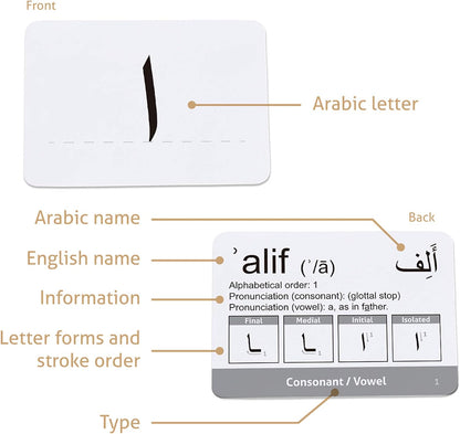 CARDDIA | Arabic Alphabet Educational Flashcards | Includes Consonants, Vowels, Diacritics and Numerals | Ideal for Arabic Language Beginners