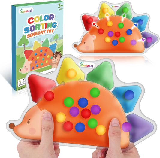 ZaxiDeel Color Sorting Sensory Toys for Kids : Roadtrip Travel Essenstial for Toddler, Color Matching Preschool Activities Educational Calm Down Montessori Toys for Boy Girl Gifts Ages 3+