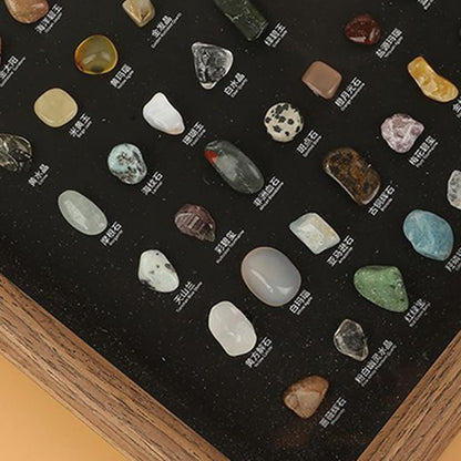 Natural Mineral Specimen Kit – 100pcs Rock Collection, Educational Science Box, Hands-On Learning, Display-Ready Stones | Rock Collection for Office, Bedroom, Living Room, Home, Educational Display