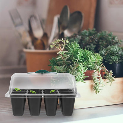 Luxshiny 3pcs Plant Nursery Box with Lid 12-Cell Seed Germination Tray for Garden and Vegetable Planting, Plastic Sprouting Container with Butterfly Clasp, Greenhouse Growing Supplies