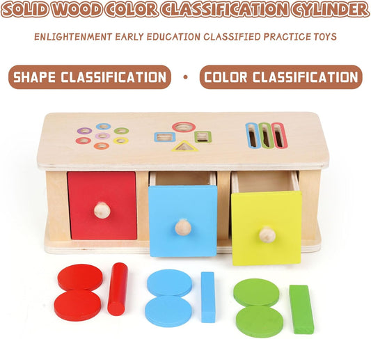 Montessori Toys Wooden Color Sorting Toys Object Permanent Box with Drawer Boxs,Coin Box,Learning Activity Cube Sensory Shape Sorter Educational Toy Fine Motor Matching Games for Kids Boys Girls Gift