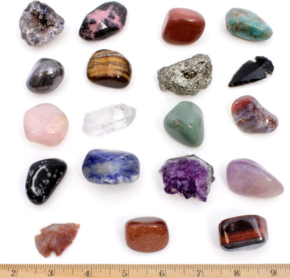 DANCING BEAR 18 Pc Rock and Mineral Educational Collection & Deluxe Collection Box with Description Sheet and Educational Information. Limited Edition, Geology Gem Kit for Kids with Display Case