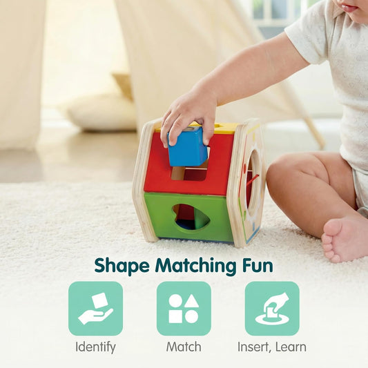Hape Wooden Wonder Shape Sorter