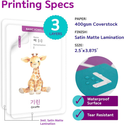 Toddler Korean Flashcards – 55 Fun & Educational Cards for Preschoolers & Beginners