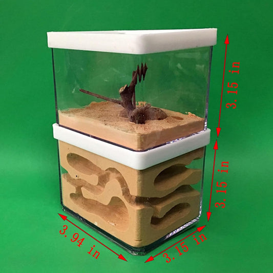 Acrylic Transparent Ant Farm Nest - Ant Observation & Education - Suitable for Children & Enthusiasts - Gift Giving