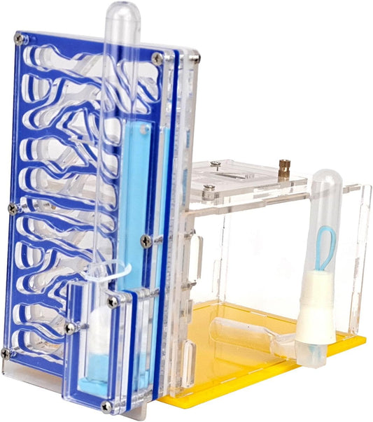 ANT Housing Nest Habitat Transparent Acrylic with Feeder ANT Farm Display Box for Gift Lovers Birthday Decor Children's Day- Yellow