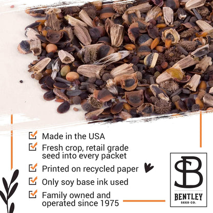 Grateful Memories Dove with Bird and Butterfly Mix Seed Favor Packets - Gardening Gifts - Wild Flower Seeds for Planting - Garden or Indoor Plant Flowers - Growing Plants in Memory