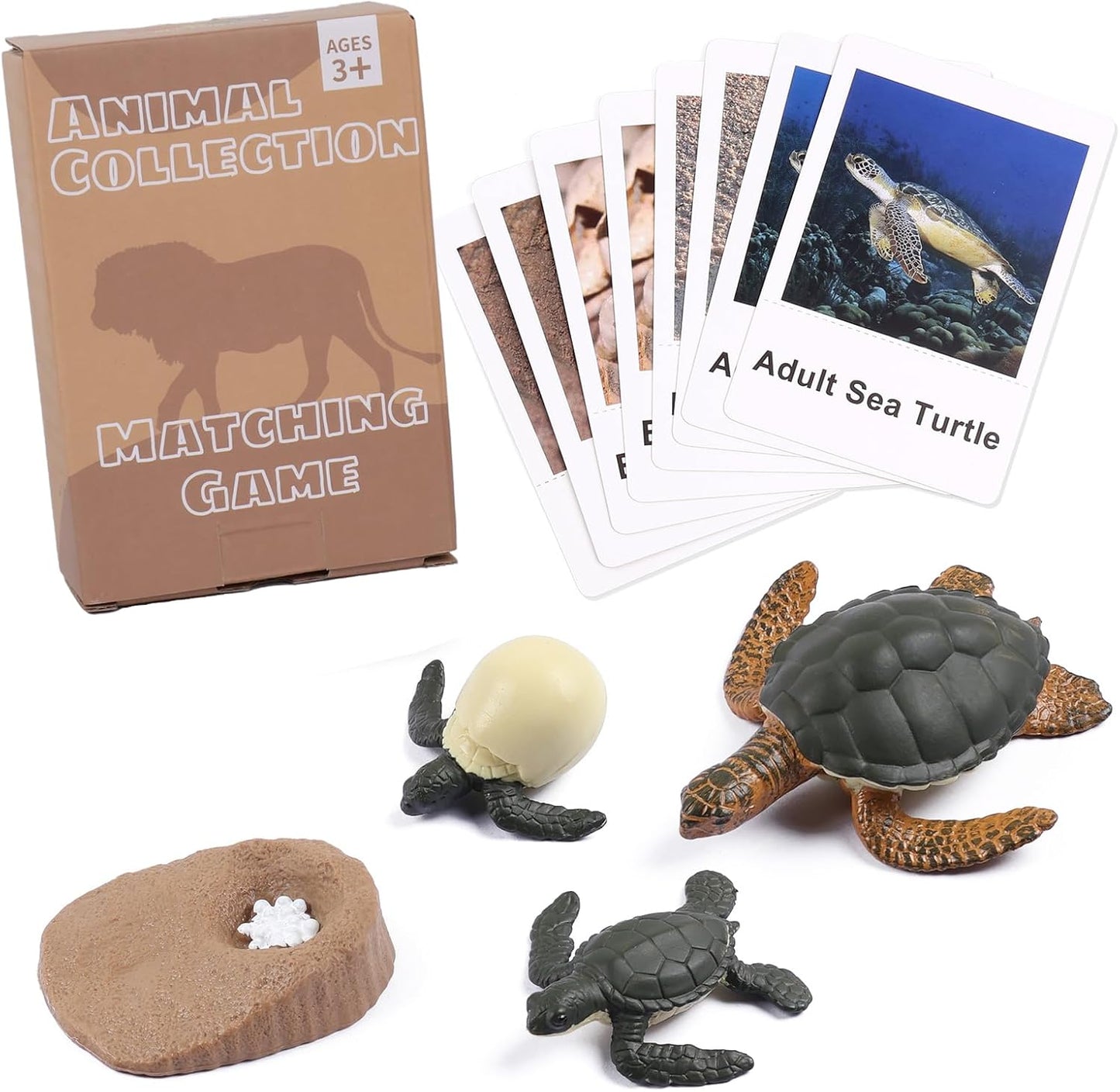MEROCO Chicken Life Cycle Toys for Kids Insect Ant Bug Toys for Kid 3-5 Animal Flashcards with Figurines Preschool Science Toy for 3-5 Matching Game Science Animals Learning & Education