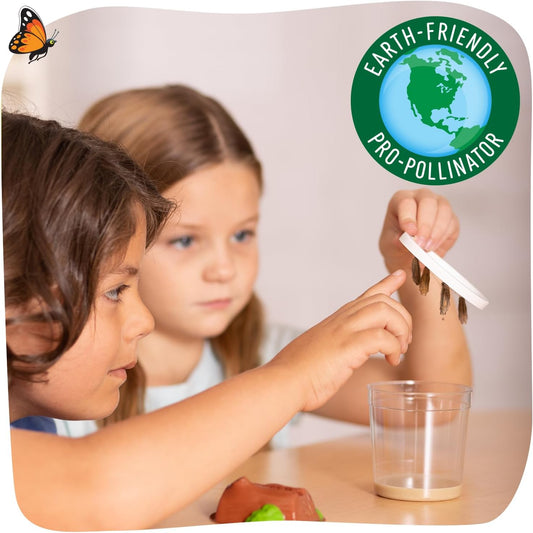 Insect Lore Butterfly Garden with 10 Live Baby Caterpillars - Habitat, Feeder, Chrys-A-Lid Holders, STEM Activity Journal - Raise and Release Painted Lady Butterflies