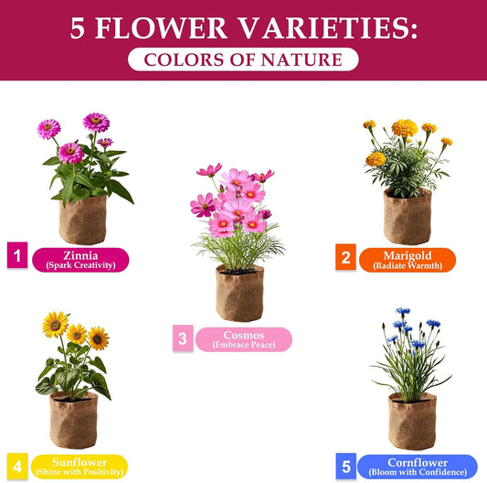 5 Indoor Flowers Growing Kit for Beginners, Complete Planting Starter Set with Zinnia, Cosmos, Sunflower, Marigold, Cornflower Seeds, Unique Gardening Gifts for Women & Men