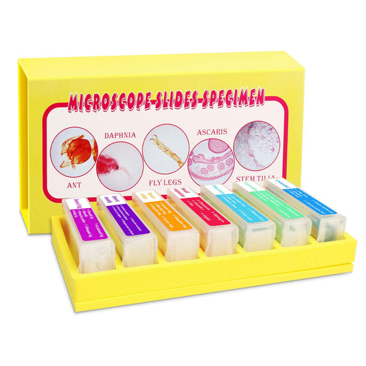 Prepared Microscope Slides for Kids, 48pcs Plastic Animals Insects Plants Flowers Sample Specimens for Students Children Homeschooling Biology Science Programs