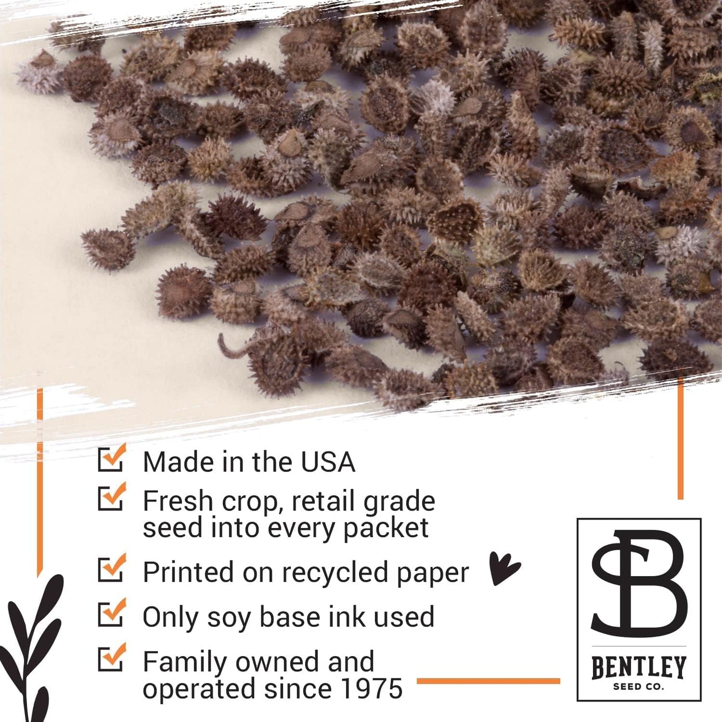 Grateful Memories Dove with Bird and Butterfly Mix Seed Favor Packets - Gardening Gifts - Wild Flower Seeds for Planting - Garden or Indoor Plant Flowers - Growing Plants in Memory
